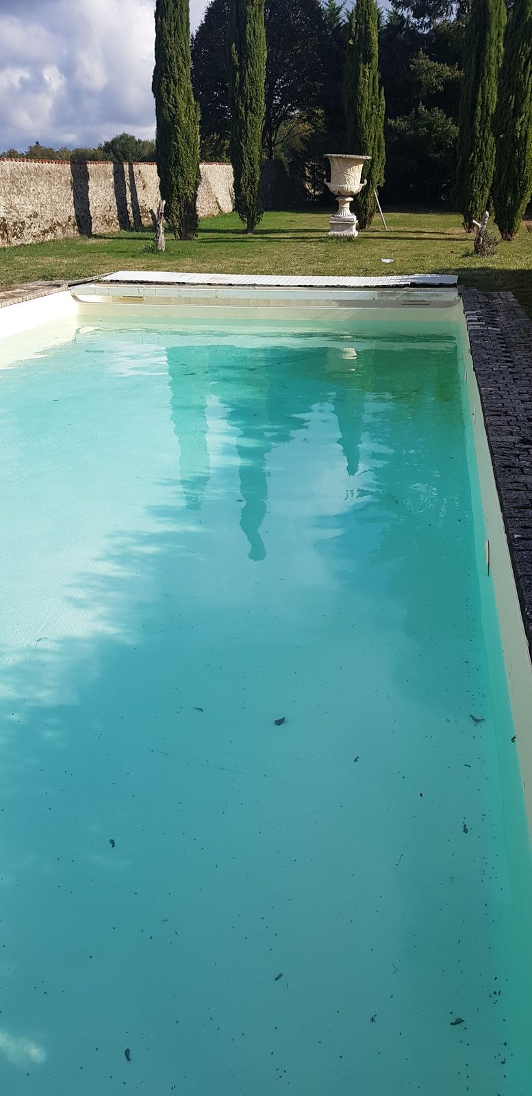 Bassin dans un jardin arboré
