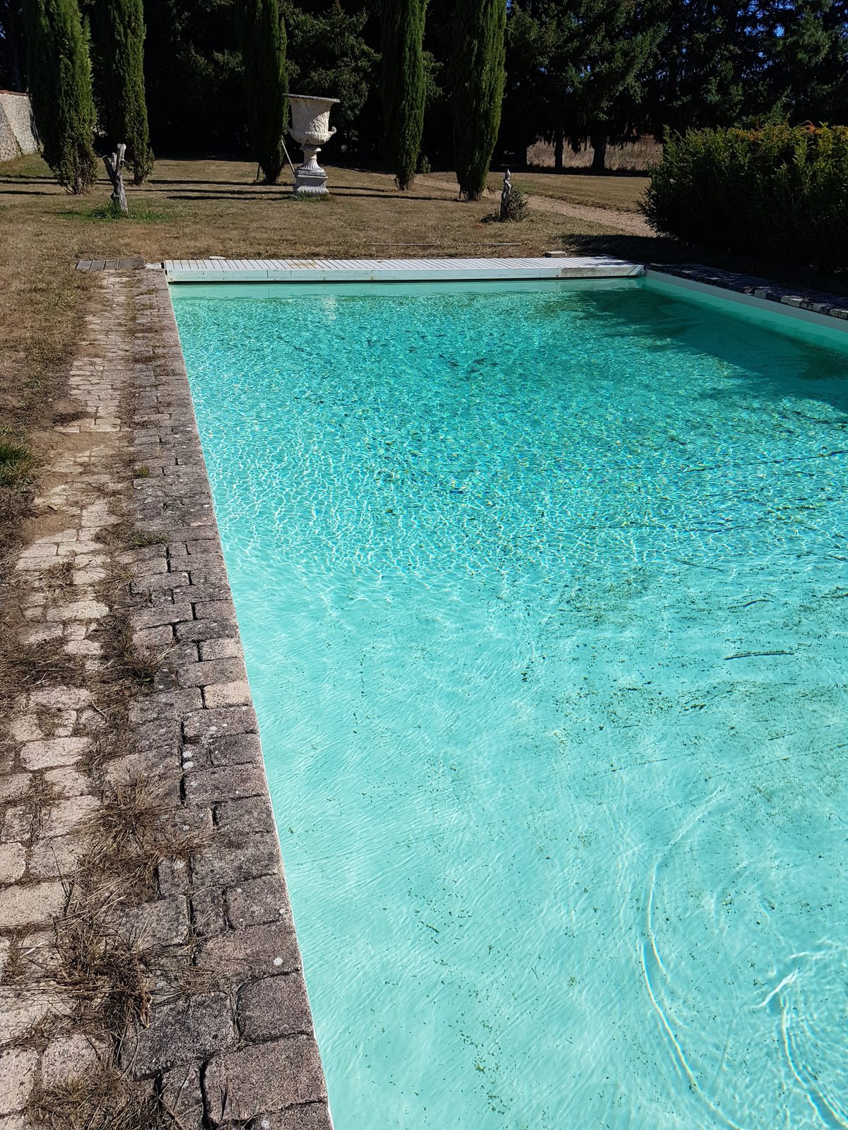 Piscine et jardin à la française